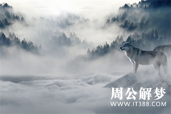 梦见狼是什么意思
