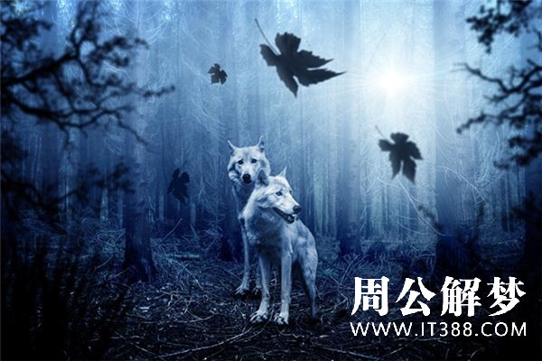 梦见被狼追是什么意思