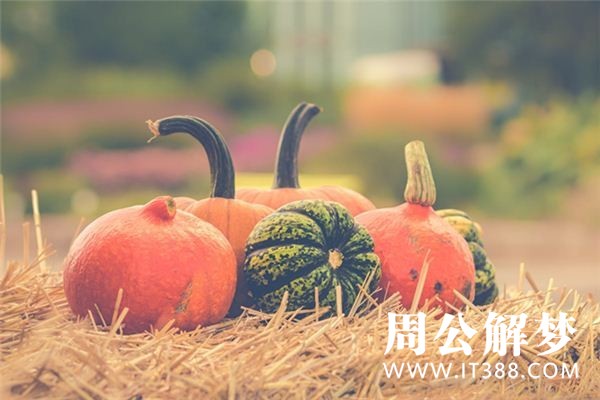 孕妇梦见南瓜