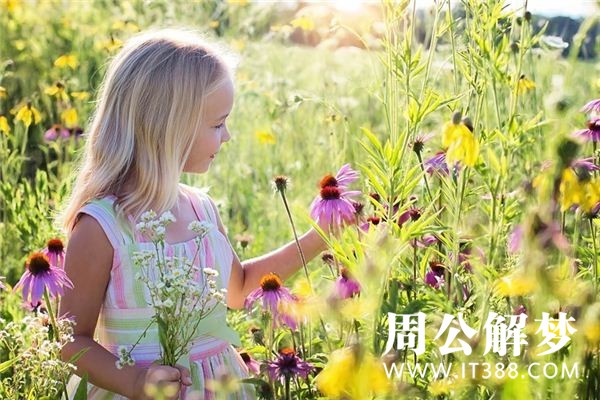 孕妇梦见小女孩