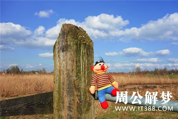 梦见布娃娃是什么意思