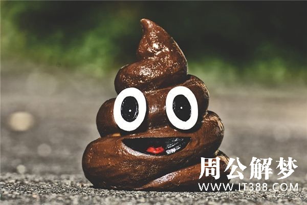 屎