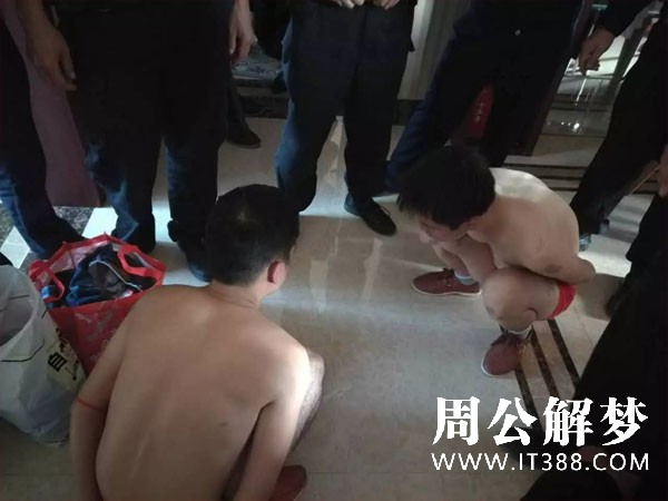 梦见小偷进家