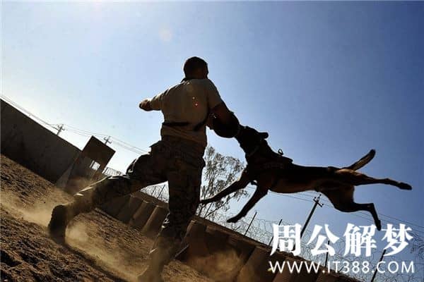 做梦被狗咬