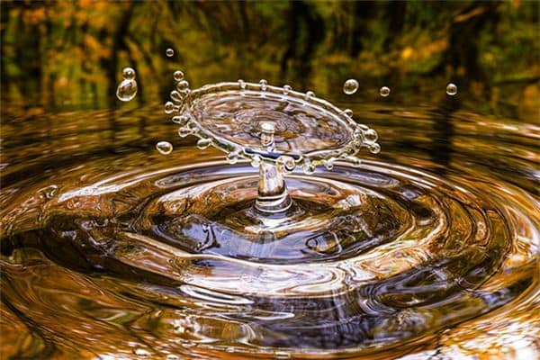 梦到水周公解梦