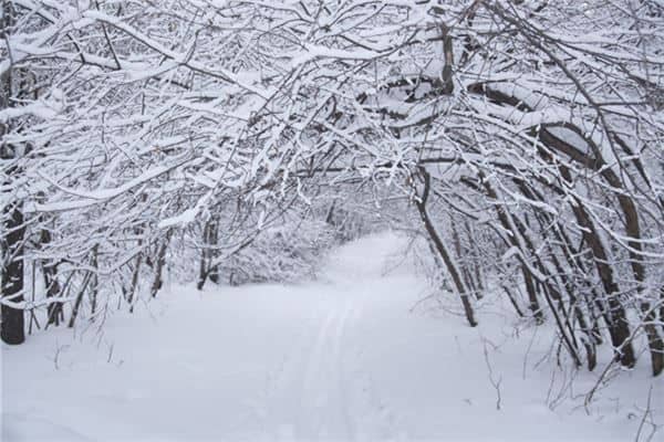 梦见过年下雪