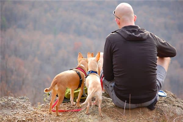 梦见别人秃顶