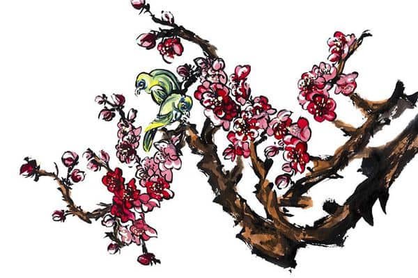 梦见画梅花