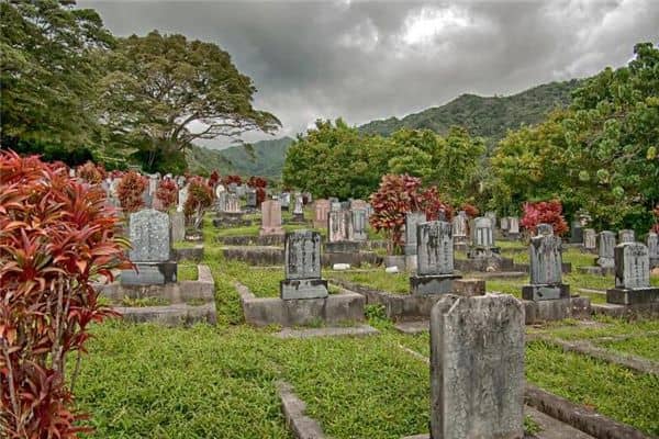 梦见坟墓被盗