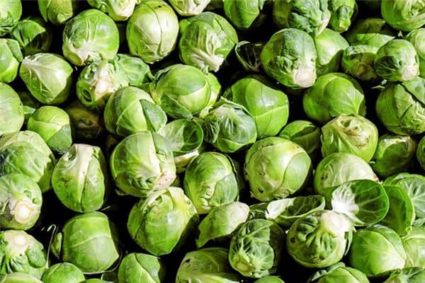 梦见卷心菜是什么预兆