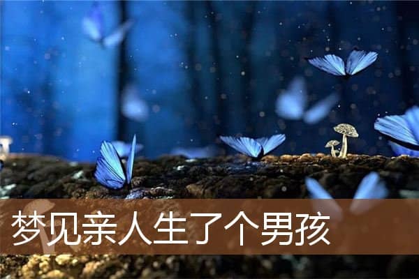 梦见亲人生了个男孩