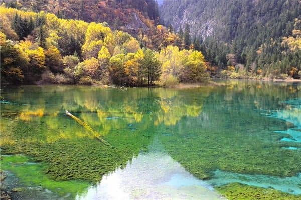 梦见河水清澈