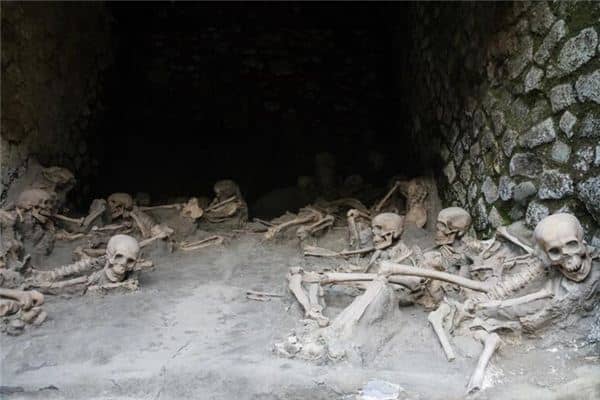 梦见很多人死了