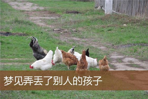 梦见弄丢了别人的孩子