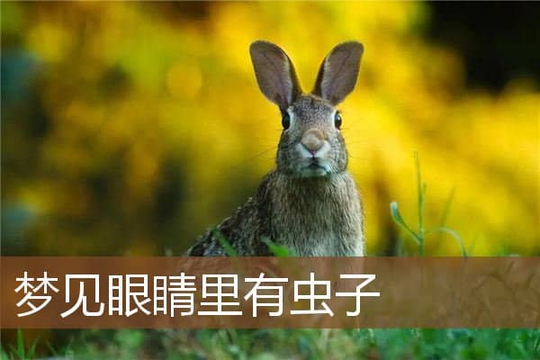 梦见眼睛里有虫子