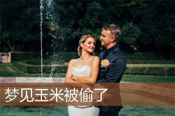 梦见玉米被偷了