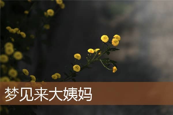 梦见来大姨妈是什么意思