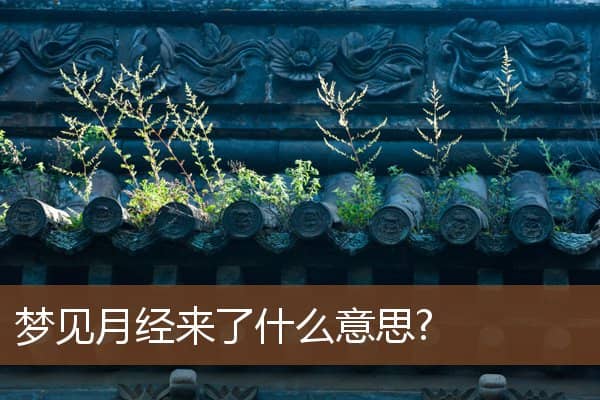 月经来了