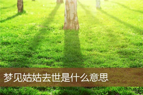 姑姑去世