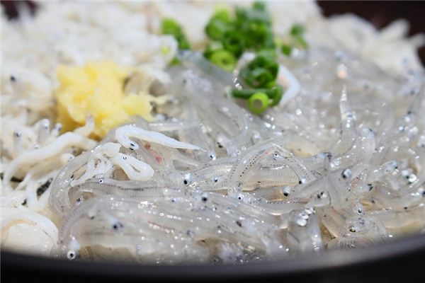 银鱼