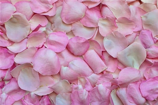 花瓣