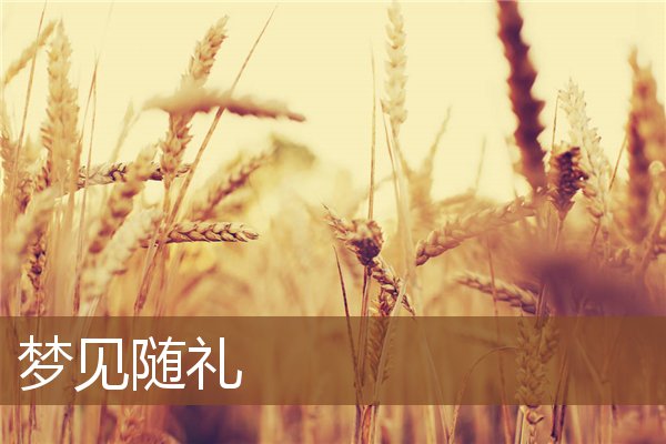 随礼
