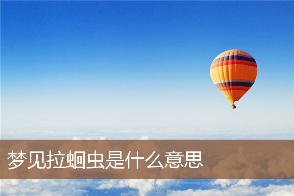 拉蛔虫