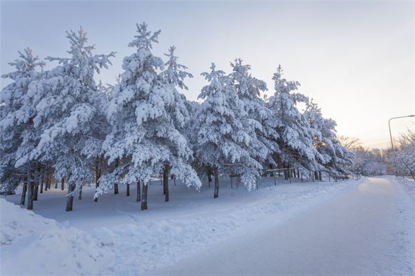梦见雪是什么意思