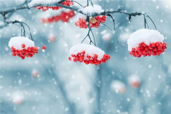 梦见下雪是要戴孝吗是什么意思