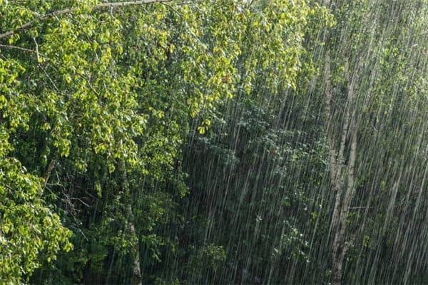 梦见倾盆大雨是什么意思