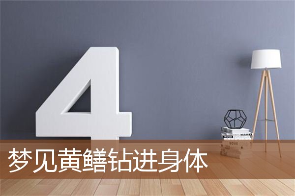 梦见黄鳝钻进身体是什么意思