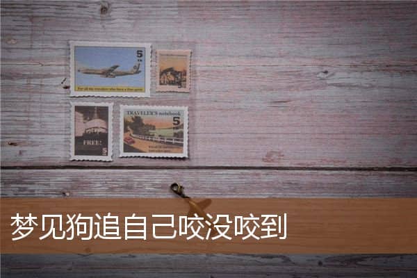 梦见狗追自己咬没咬到是什么意思