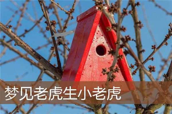 老虎生小老虎