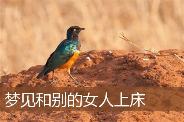 梦见和别的女人上床是什么意思