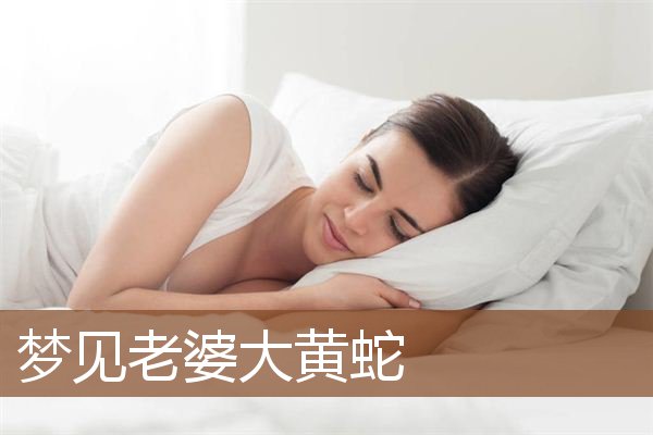梦见老婆大黄蛇是什么意思