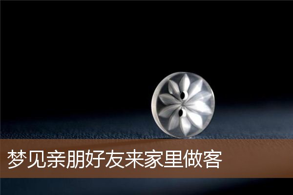 亲朋好友来家里做客