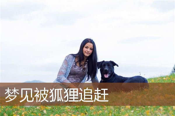 梦见被狐狸追赶是什么意思