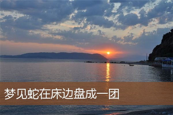 梦见蛇在床边盘成一团是什么意思