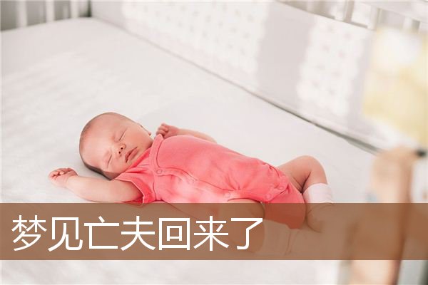 梦见亡夫回来了是什么意思