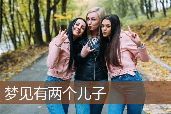 梦见有两个儿子是什么意思