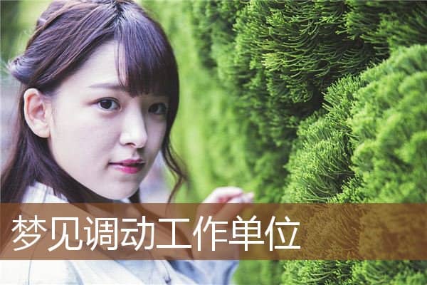 梦见调动工作单位是什么意思