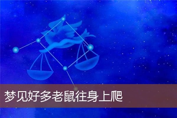 梦见好多老鼠往身上爬是什么意思