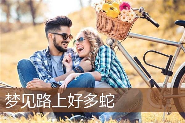 梦见路上好多蛇是什么意思