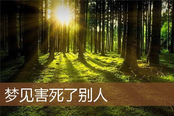 害死了别人