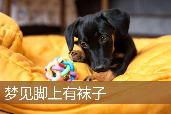 梦见脚上有袜子是什么意思