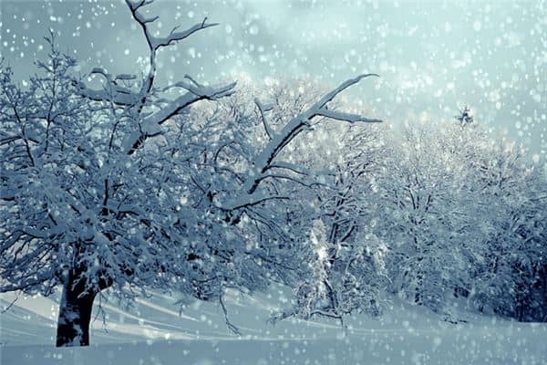 梦见雪景很美是什么意思