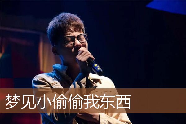梦见小偷偷我东西是什么意思