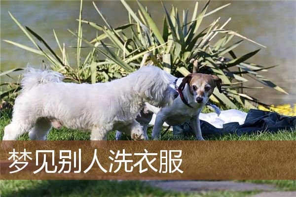 梦见别人洗衣服是什么意思