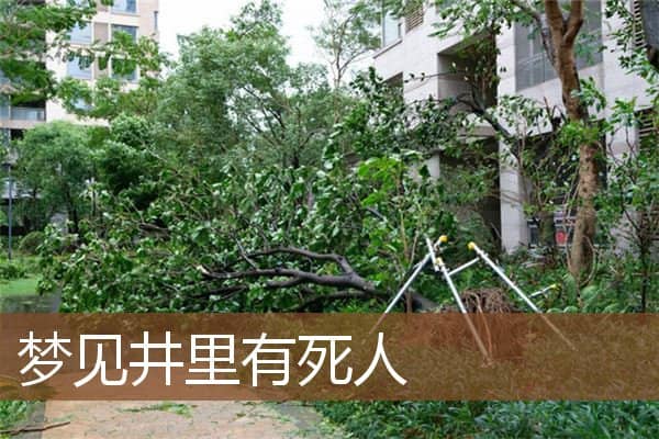梦见井里有死人是什么意思