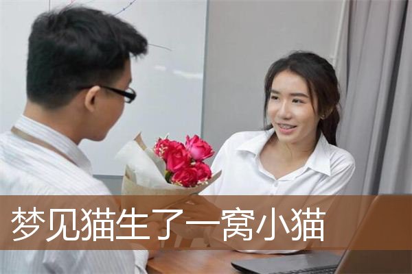 梦见猫生了一窝小猫是什么意思